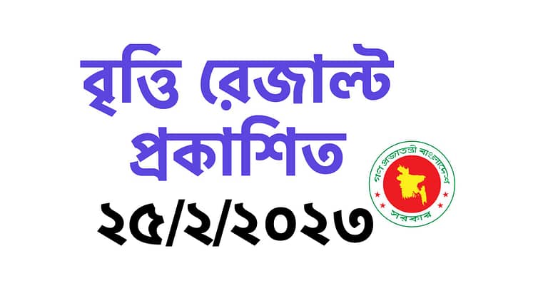 www dpe.gov.bd result 2023 Class 5 Primary Scholarship Result Published