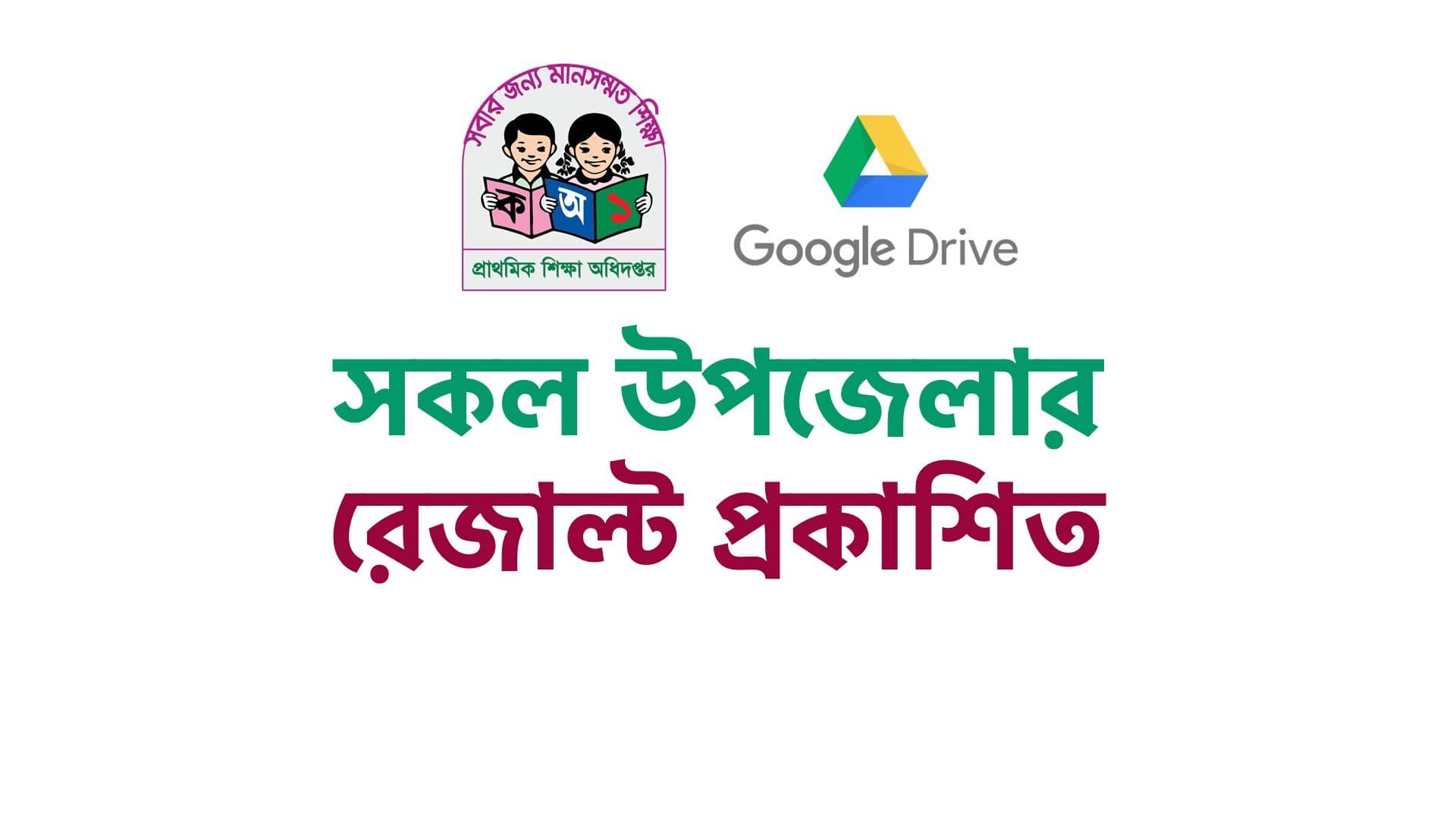 dpe.gov.bd PSC Class 5 Scholarship Result Marksheet Download 2023 All District